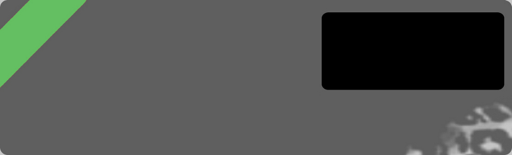 08bg