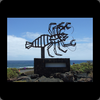 Lanzarote 2009