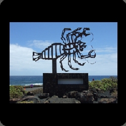 RR Lanzarote 2009