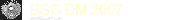 BSG DM 2007