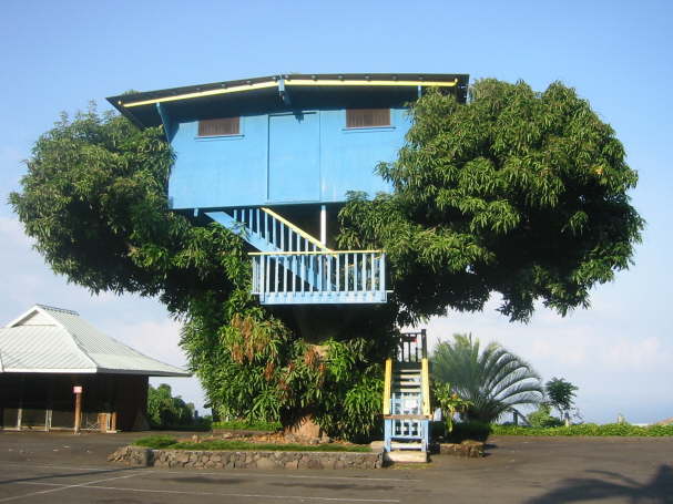Ironman Hawaii 2005 154